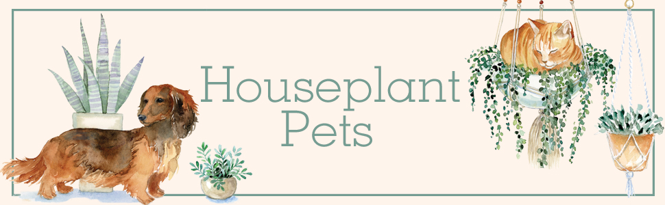Houseplant Pets