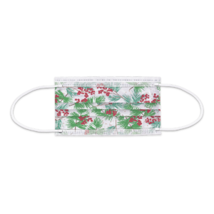 Classic Sprigs 10-Count Disposable 3-Ply Face Masks Product