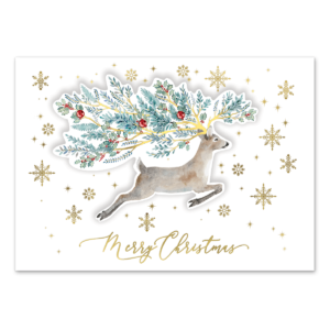 Holiday Winter Greens Deer Boxed Holiday Cards Product